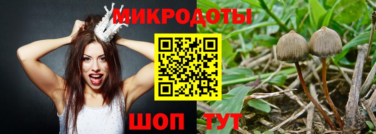 Псилоцибиновые грибы MAGIC MUSHROOMS Железноводск